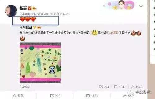 娱乐吃瓜酱生日,生日快乐，揭秘这位娱乐圈“瓜王”的独家魅力