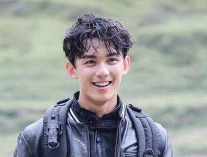 1995年的男明星,1995年闪耀荧屏的男明星风采回顾