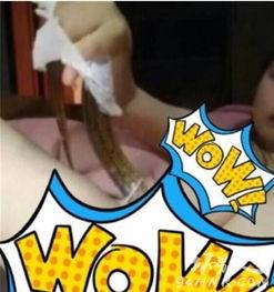 最红女主播黄鳝,网络红人的崛起与争议